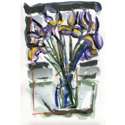 Anxious Irises I