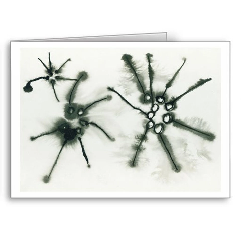 Diatoms - card