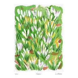 Croci - print