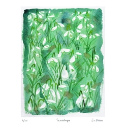 Snowdrops - print