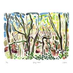 Spring Woods - print Spring Woods - print