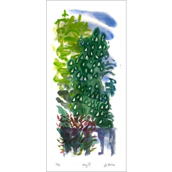 Horse Chestnut - print
