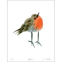 Robin - print