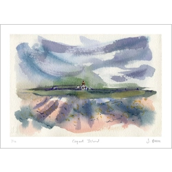 Coquet Island - print