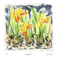 Daffodils II - print