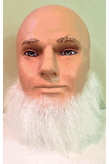 Bushy, Short Beard - Glue On Bushy, Short Beard - Glue On