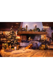 10x10FT Vinyl Xmas Fireplace Tree Guitar Background