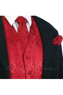 Men's Paisley Design Dress Vest and Neck Tie Han..