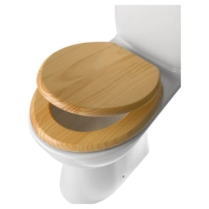 Basic Wooden Toilet Seat