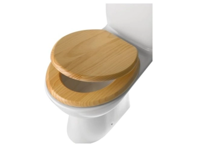 Basic Wooden Toilet Seat