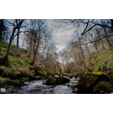 Hardcastle Crags
