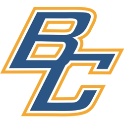 Berryhill BC Car Decal