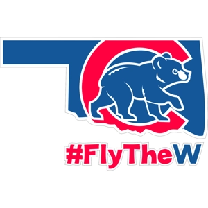 CFIO Car Decal