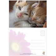 Cute Get well postcard