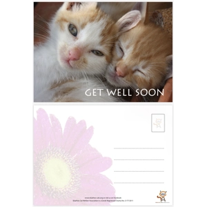 Cute Get well postcard