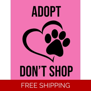 Help to get a cat in fostercare