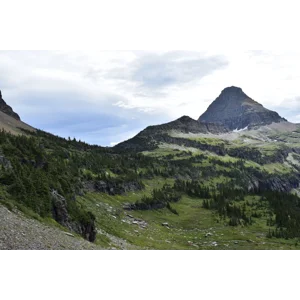 Montana