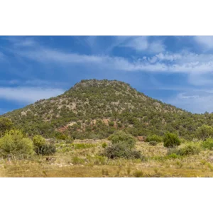 Texas