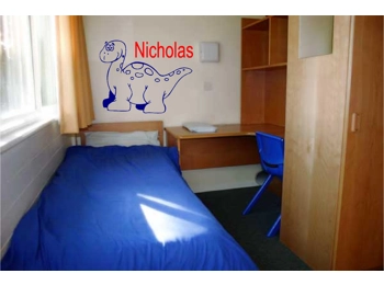 Dinosaur and Personalized Name Wall Sticker Wall Art Decor Vinyl Decal