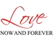 Love Now & Forever Bedroom Wall Sticker Wall Art Vinyl Wall Home Decor Letters