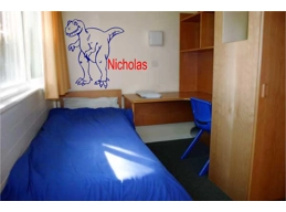 T-Rex Dinosaur and Personalized Name