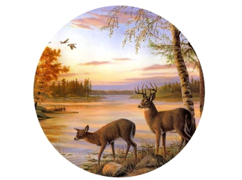 Deer Camper Graphic Sticker 24 in x 24 in