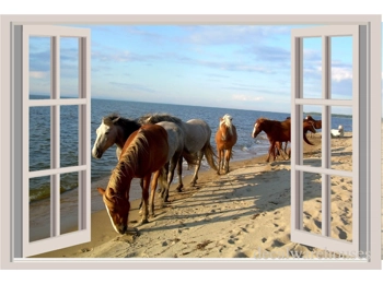 Horses Ocean Window View Repositionable Color Wall Sticker Wall Mural Print