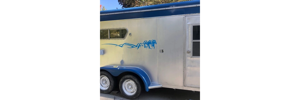 Horse Trailer Stripes 