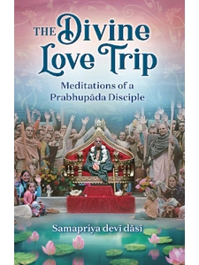 The Divine Love Trip: Meditations of a..