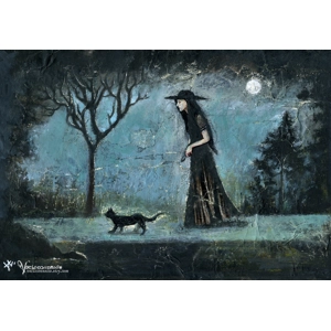 Vocisconnesse - Freedom and protection because the night is cold