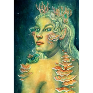 Caitlin Fowler - Hyphae