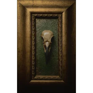 Castaway Skull - The Observer