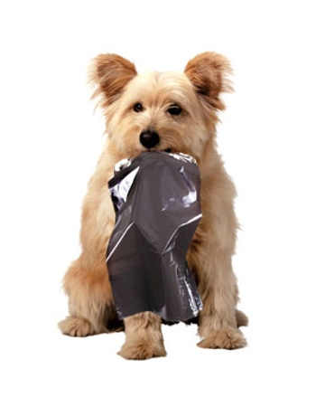 Biodegradable Pet Waste.. Biodegradable Pet Waste..