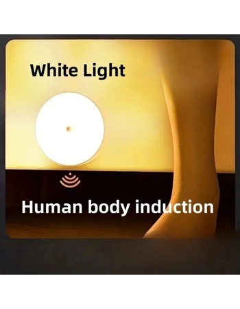 Motion Sensor LED Night Light Motion Sensor LED Night Light