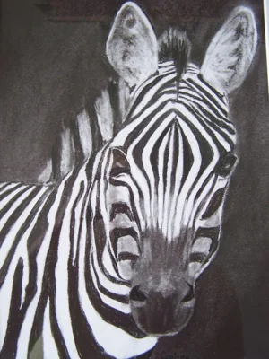 Zabrina The Zebra Orig.