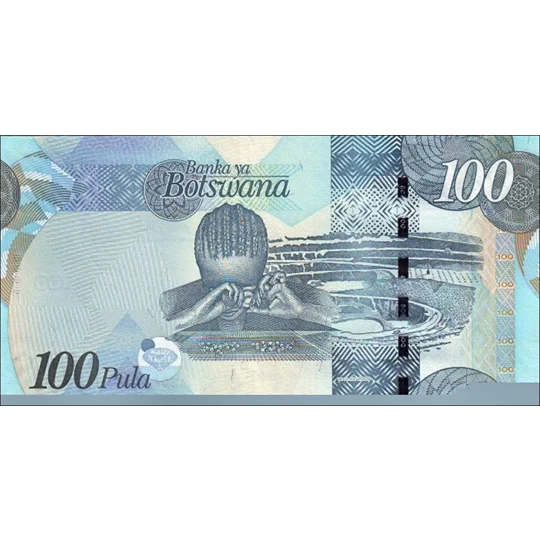 100 Pula - 2010 - P33b - B127b - Unc