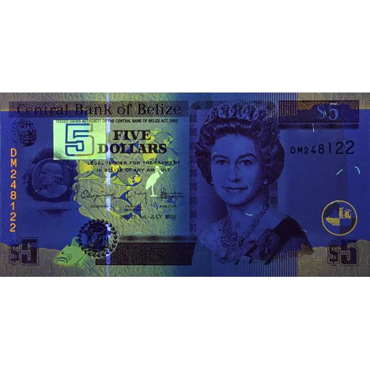 5 Dollars - 2009 - P67d - B325d - Unc