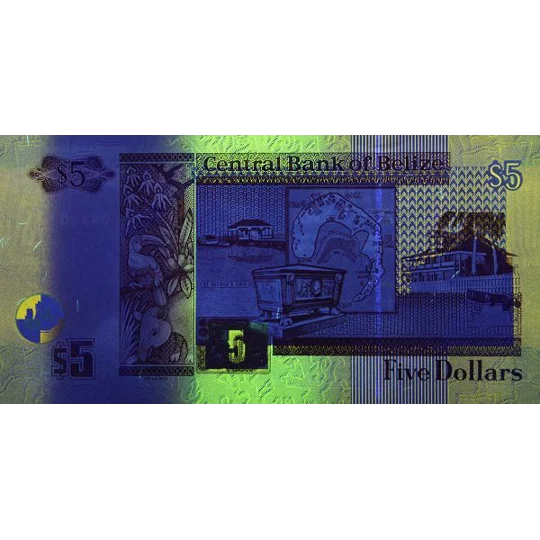 5 Dollars - 2009 - P67d - B325d - Unc
