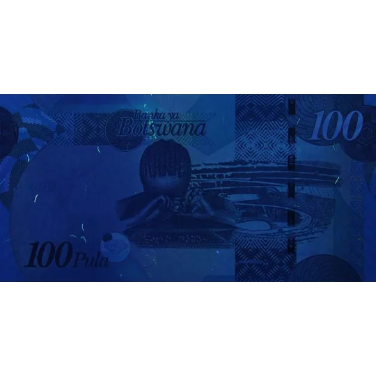 100 Pula - 2010 - P33b - B127b - Unc