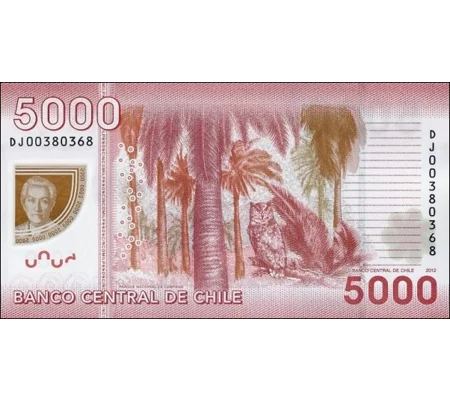 5.000 Pesos - 2012 - P163c - B298c - Unc