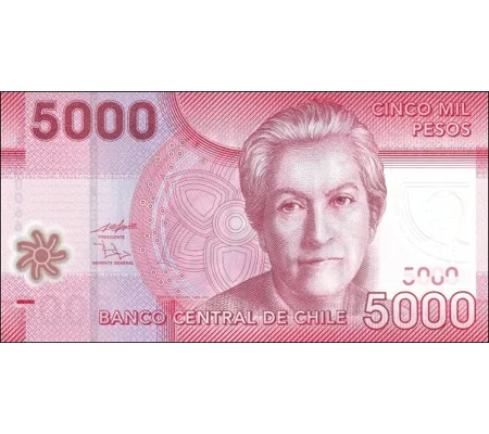 5.000 Pesos - 2009 - P163a - B298a - Unc