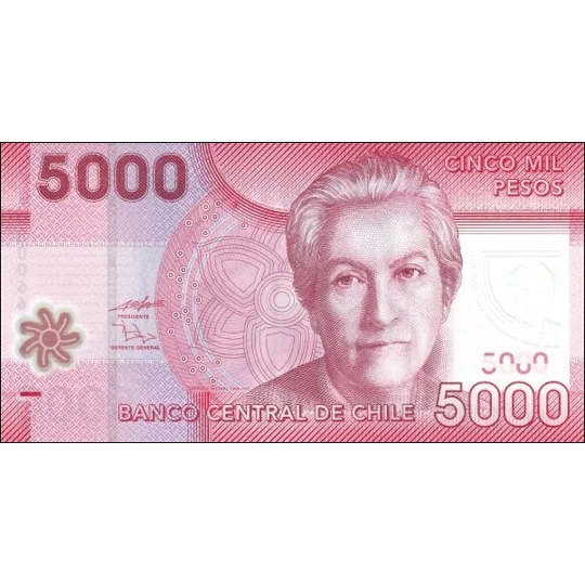 5.000 Pesos - 2009 - P163a - B298a - Unc