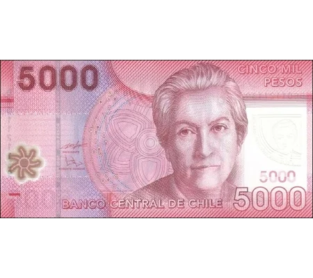 5.000 Pesos - 2011 - P163b - B298b - Unc