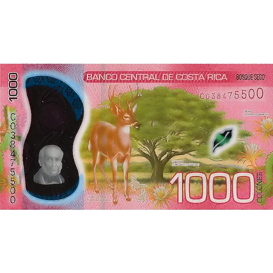 1000 Colones - 2019 - P280 - B564a - Unc
