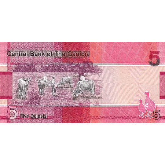 5 dalasis - 2023 - W37c - B235c - Unc