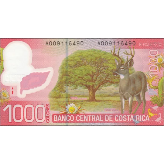 1000 Colones - 2009 - P274a - B557a - Unc