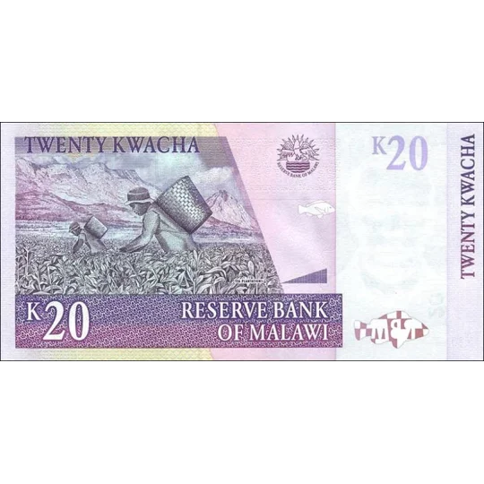 20 Kwacha - 2001 - P44a - B143a - Unc