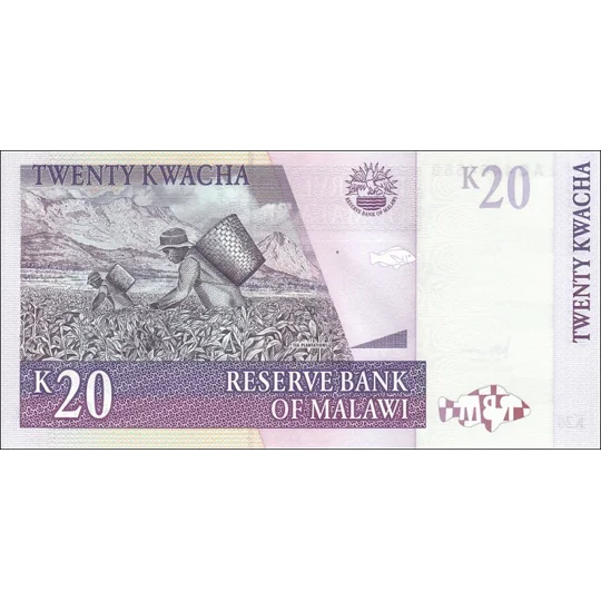 20 Kwacha - 2006 - P52c - B143d - Unc