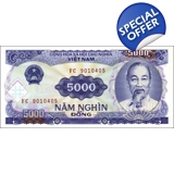 Vietnam - 5.000 Dong - 1991 - P108 - B..