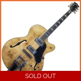 Pholea Hollow Body Jazz Guitar PJ-HBBE